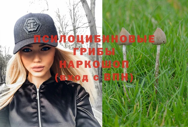 мдпв Арсеньев